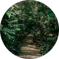 Bukit Batok Nature Park