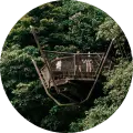 Rifle Range Nature Park Colugo Deck